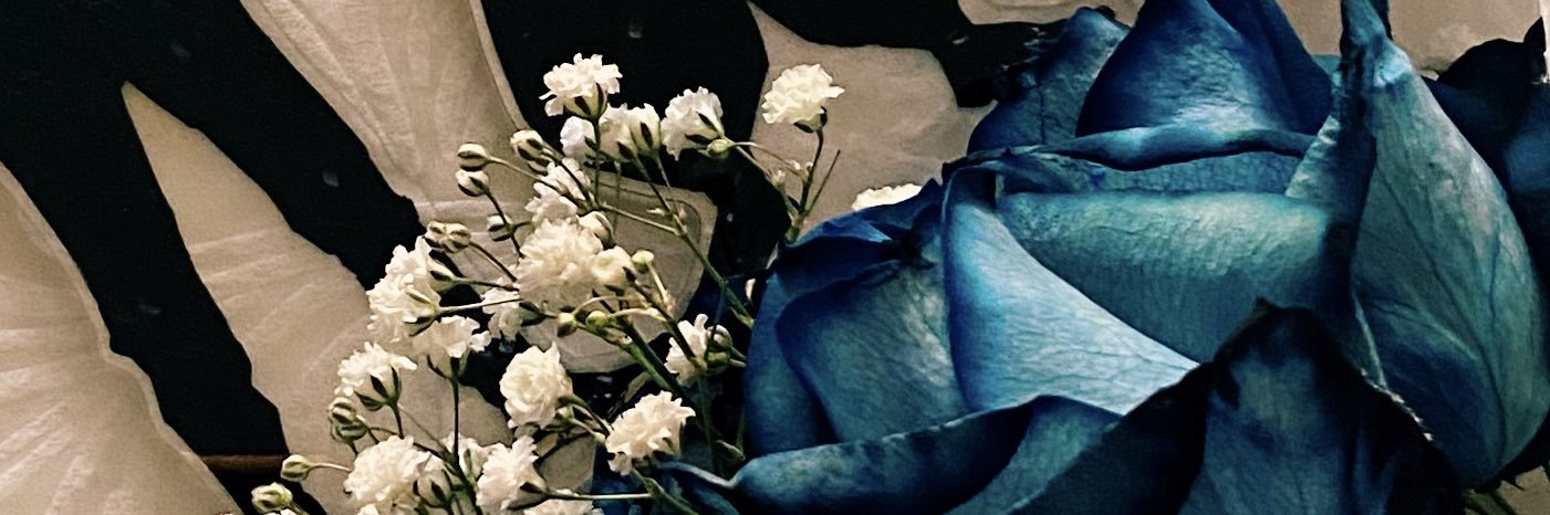 のろ's banner