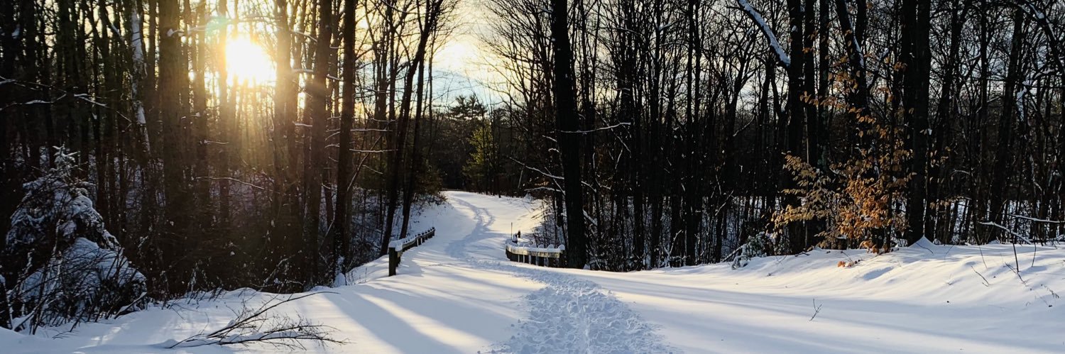 jay_pisano's profile banner image