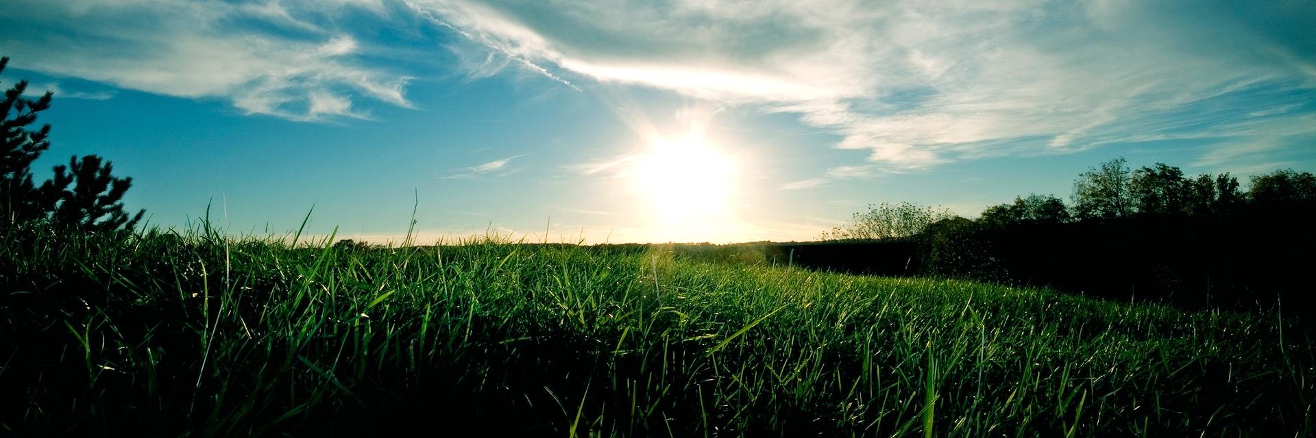 MJanjuz's profile banner image