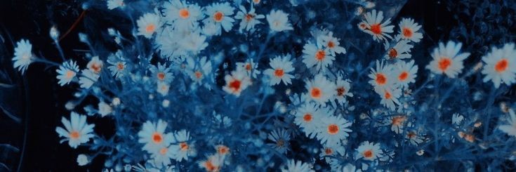 bubblegumbooy's profile banner image