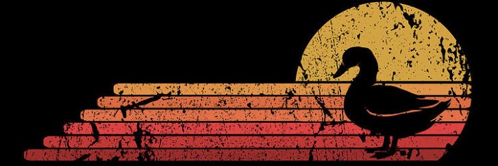 king_duck7's profile banner image