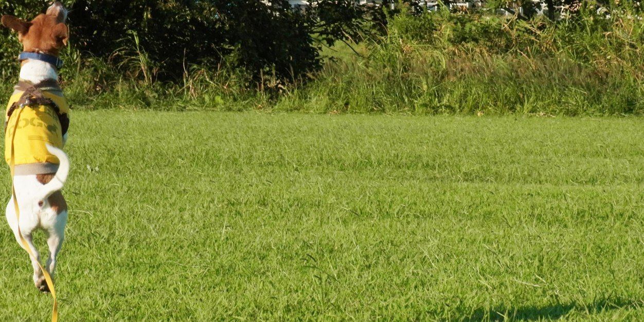 crurin's profile banner image