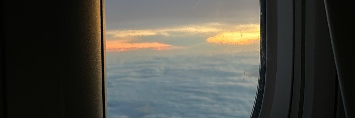 l9bins's profile banner image