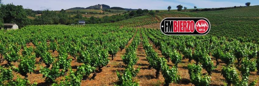 FM BIERZO 107.3 banner