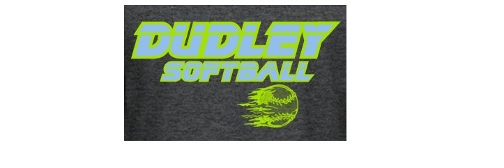 dudleysoftball's profile banner image