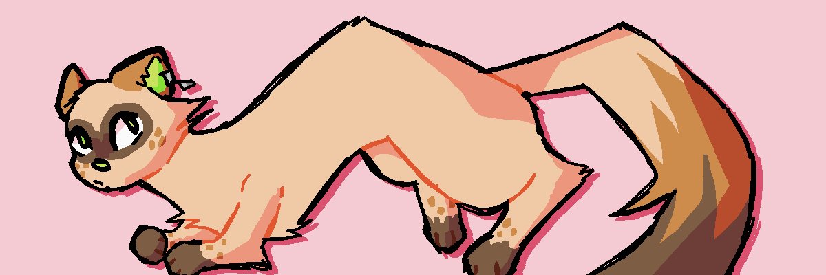Zazil banner