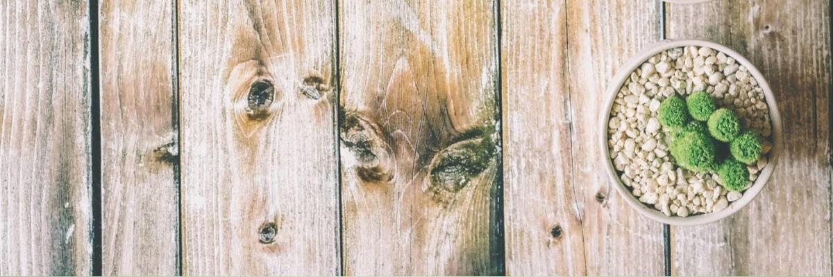 admaclellan's profile banner image