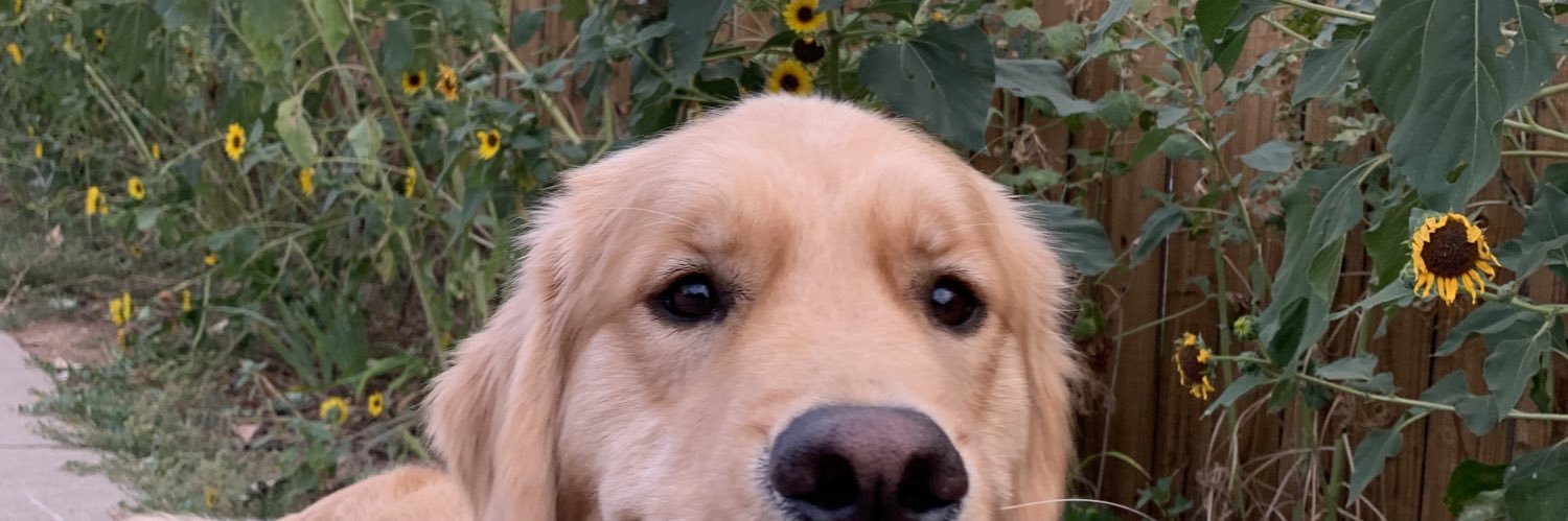 notevennat's profile banner image