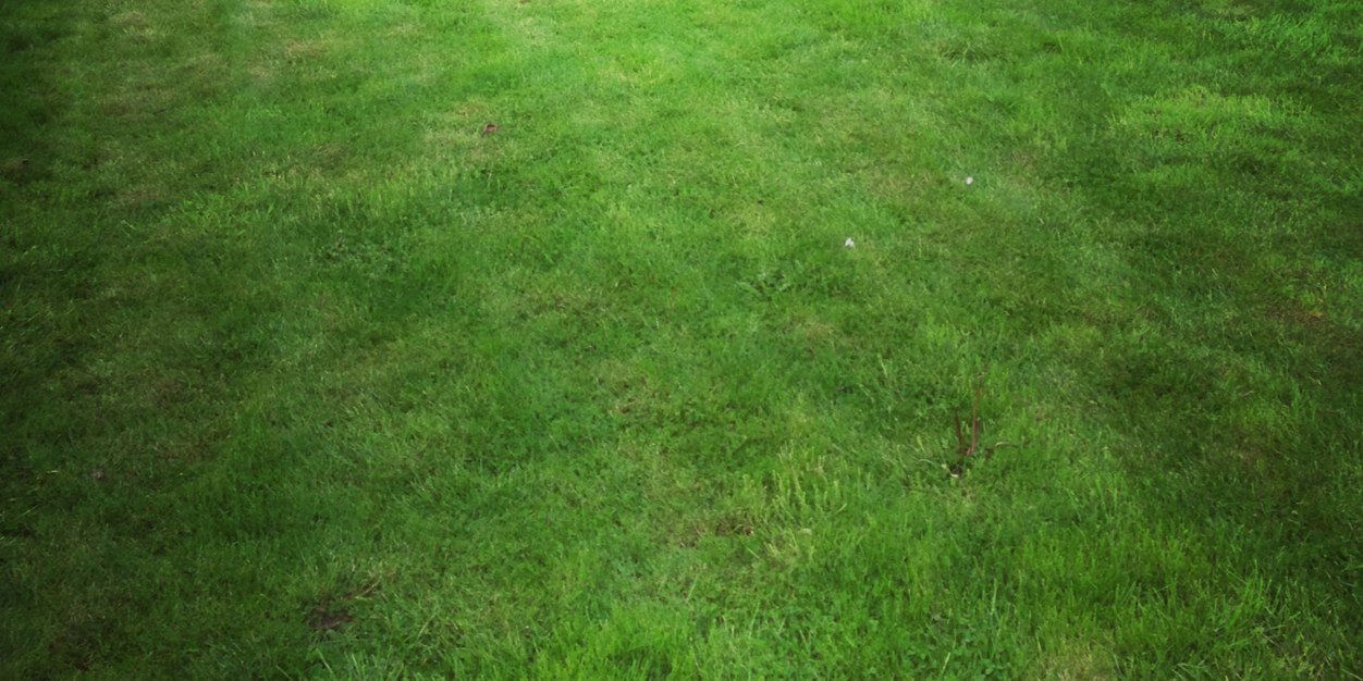 Brian Desplinter banner