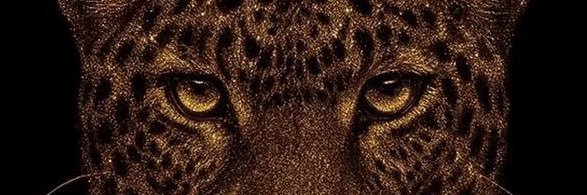 esrnal's profile banner image
