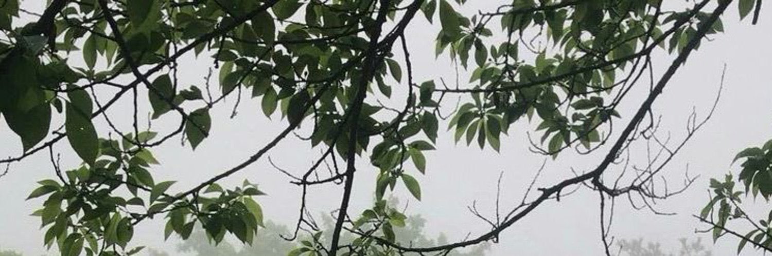 llRll9_'s profile banner image
