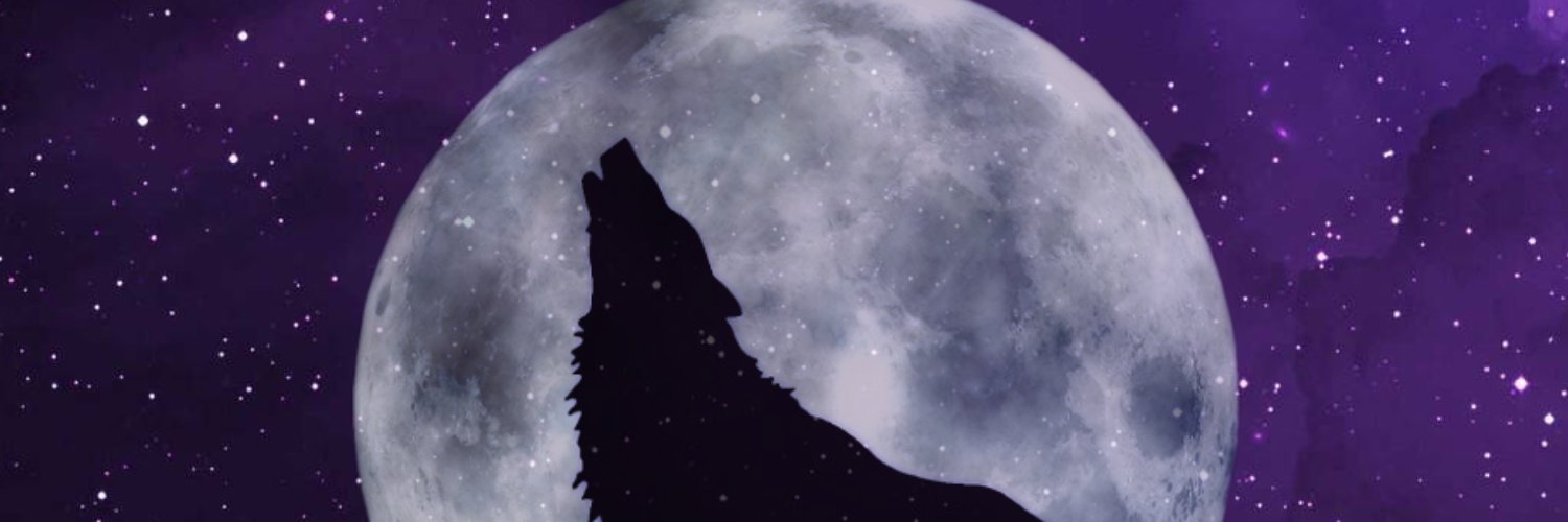 𝓨𝐮𝐢𝐜𝐡𝐢 𝓡𝐚𝐢𝐝𝐞𝐧 banner