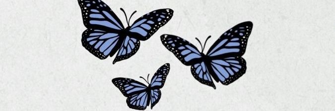 aabriag's profile banner image