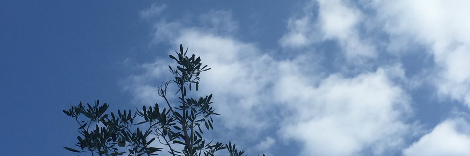 inilucky's profile banner image