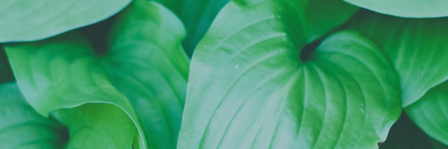 Relief0430's profile banner image