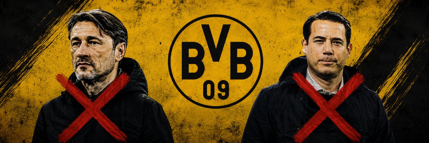 TingiBoo's profile banner image