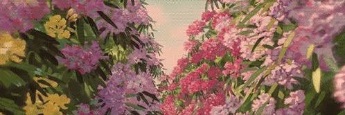 🌸🌸🌸🌸 banner