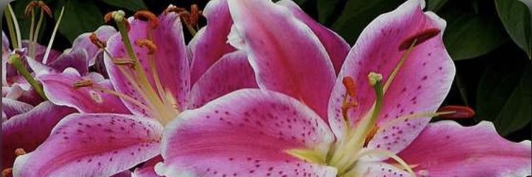 CEng979's profile banner image