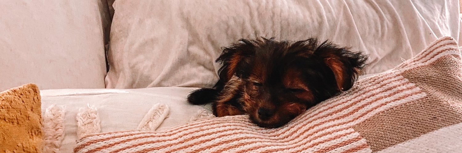 riley_ree's profile banner image