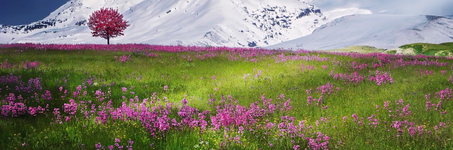 ابو خالد banner