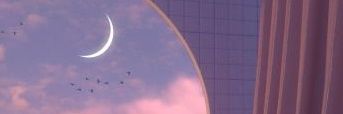 Starlights_moon banner