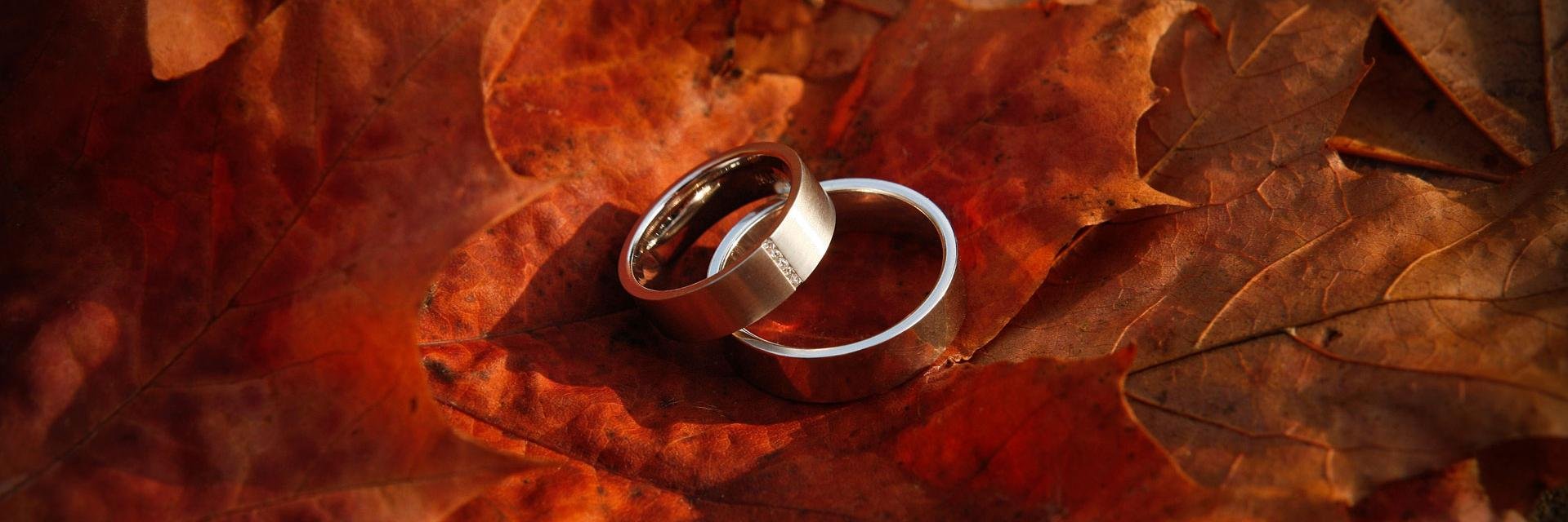 Barnaby Aldrick banner