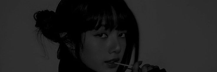 lisa2.511 banner