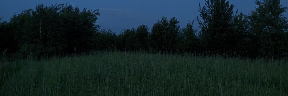 Cereja 👻 banner