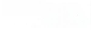 琪 banner