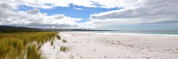 NicoleTravelBug Profile Banner