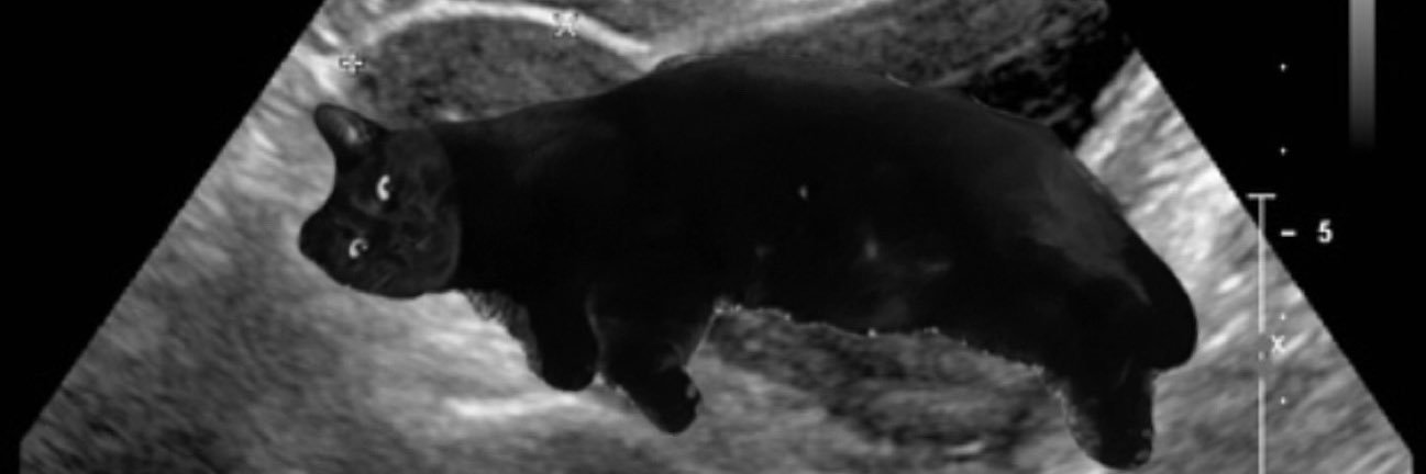 esy. banner