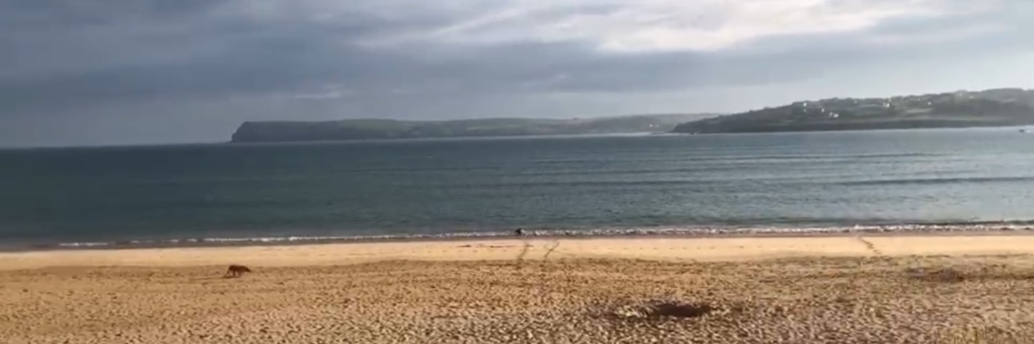 Grumpy old man banner