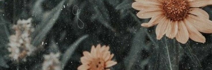 anna_jubero's profile banner image