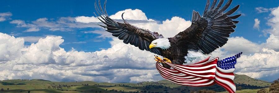 The Freedom Front banner