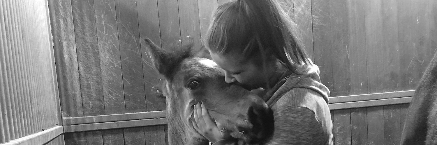 cheyenne_burda's profile banner image