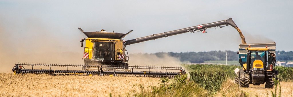 LouisMounier's profile banner image