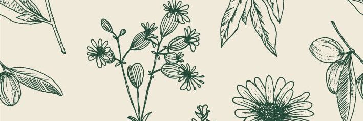 enbywitchriver's profile banner image