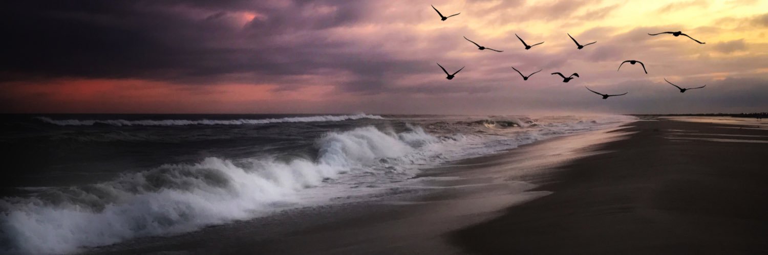 davidkpace's profile banner image