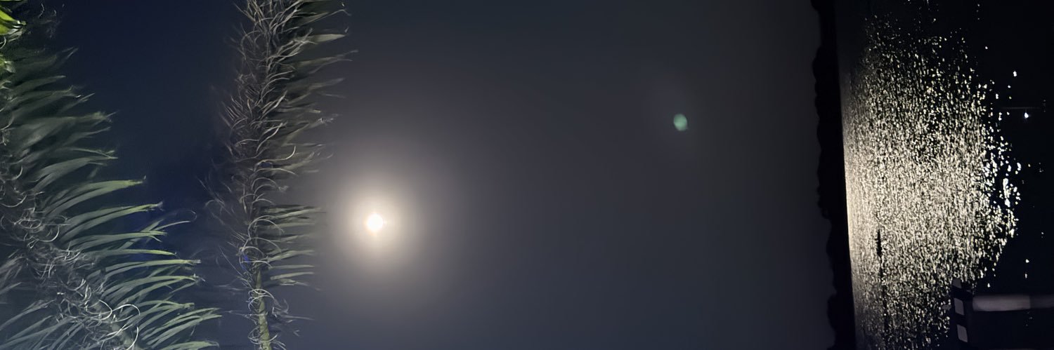 edygomre's profile banner image