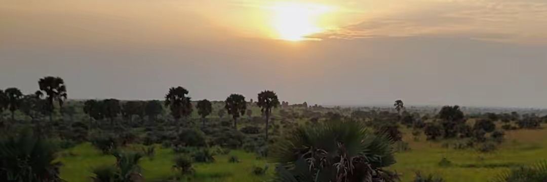 RyanTobius's profile banner image