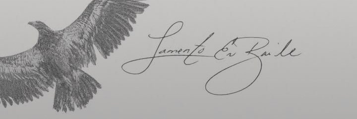 Daddy Yankee Updates banner