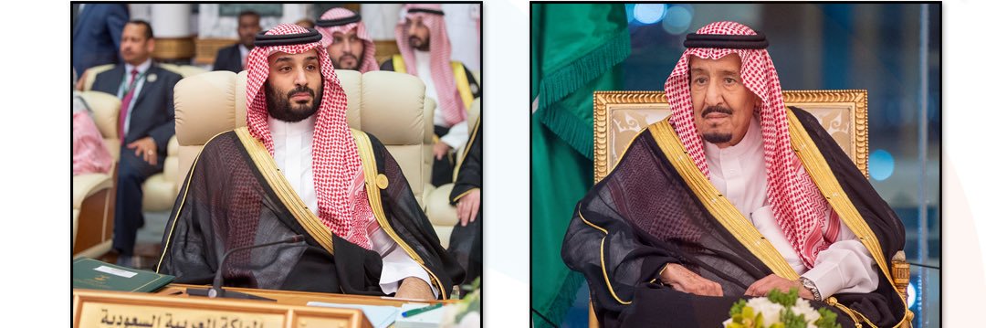 قبيلة البشارية banner