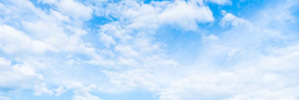 daily spideytorch's banner