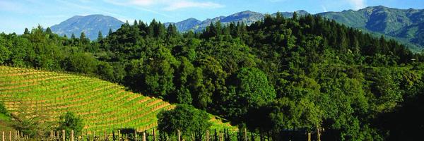 SmithTed1 Profile Banner