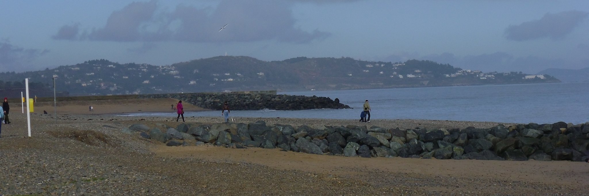 ronan_henderson's profile banner image