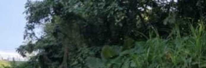 Hannah9aco's profile banner image