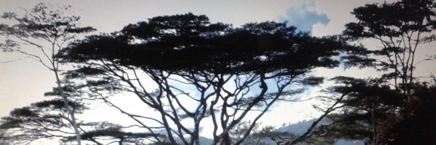 pato7043's profile banner image