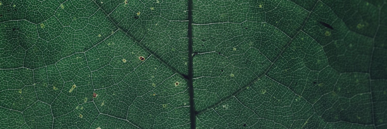 Child Well-Being Research Network banner