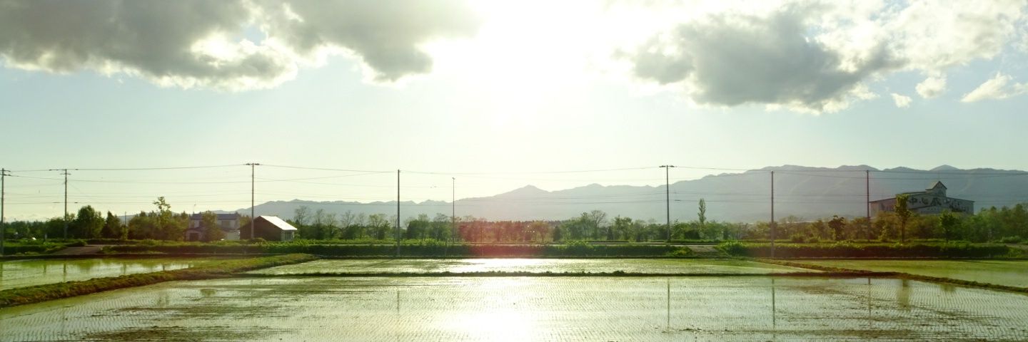 ぺるそま banner