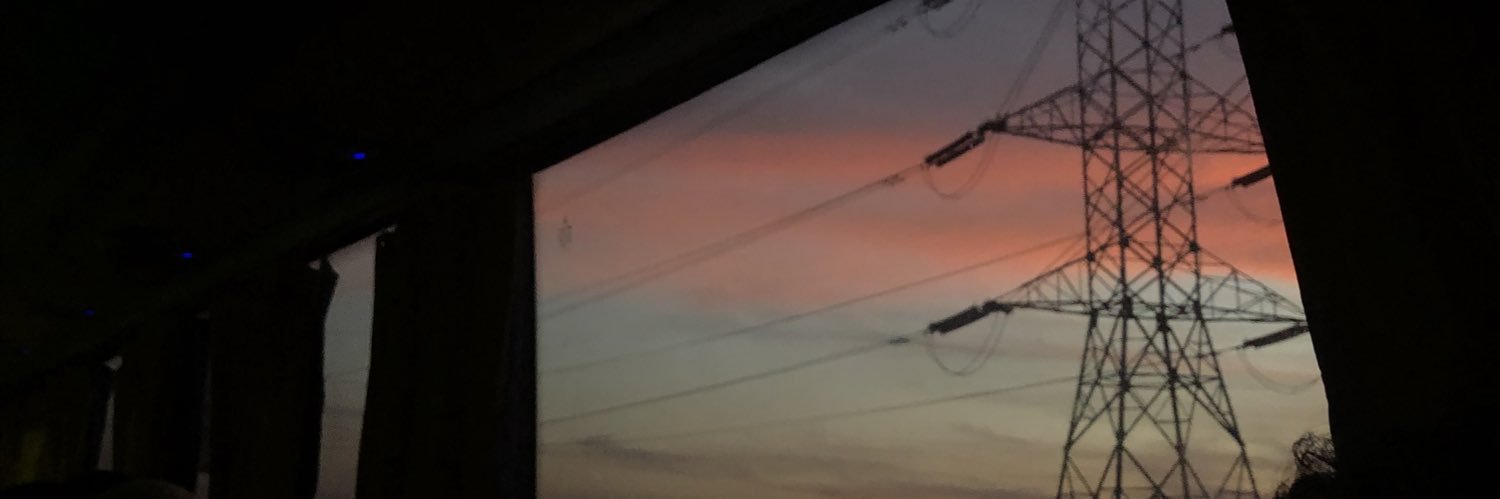 🦩 banner